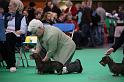 Crufts2011_2 715